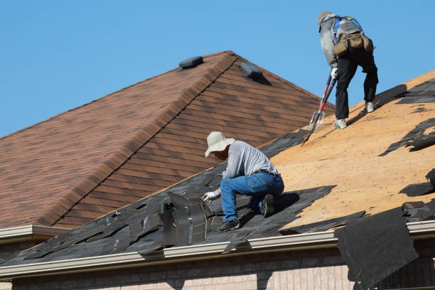 Best Roof Ventilation Installation  in Canonsburg, PA