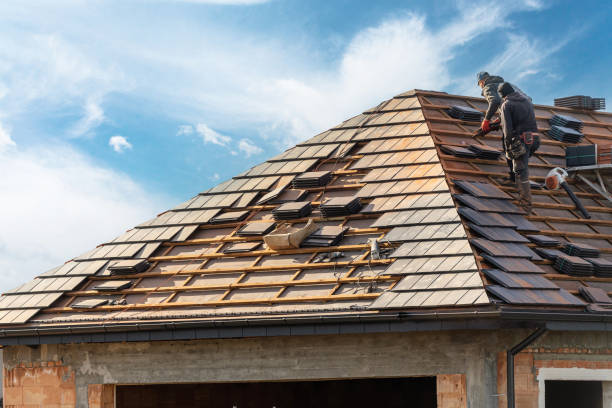 Best Roof Ventilation Installation  in Canonsburg, PA